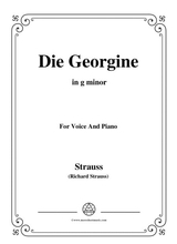 Richard Strauss Die Georgine In G Minor For Voice And Piano
