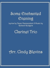 Some Enchanted Evening Arranged For Clarinet Trio