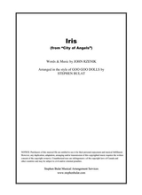Iris Goo Goo Dolls Lead Sheet In Original Key Of Bm