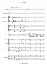 Il Gallo School Orchestra Version