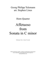 Affetuoso From Sonata In C Minor