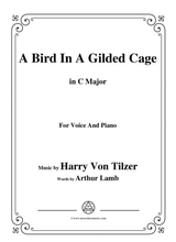 Harry Von Tilzer Bird In A Gilded Cage In C Major For Voice Piano