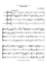 Shenandoah String Quartet