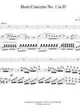 Horn Concerto No 1 In D
