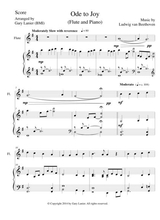 Ode To Joy Duet Flute Piano With Score Part