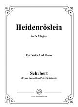 Schubert Heidenrslein In A Major For Voice And Piano