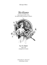 Siciliano Bwv 1031 For Treble Recorder And Guitar A Minor