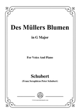 Schubert Des Mllers Blumen In G Major For Voice And Piano