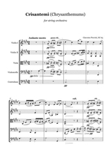 G Puccini Crisantemi String Orchestra Score And Parts