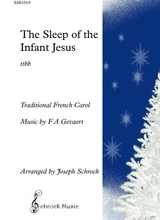 The Sleep Of The Infant Jesus