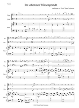 Im Schnsten Wiesengrunde For Flute Viola And Piano