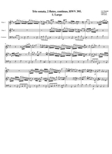 Trio Sonata Hwv 395 For 2 Flutes And Continuo In E Minor