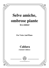 Caldara Selve Amiche Ombrose Piante In A Minor For Voice And Piano