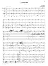 Ivanovici Donauwellen For String Quartet Ci001