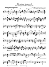 Cavatina From Beethoven String Quartet No 13 Excerpt For Guitar