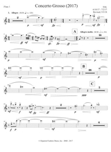 Concerto Grosso 2017 For Chamber Orchestra Flute 1