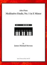 Meditative Etude No 1 In E Minor Alto Flute Piano