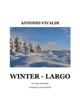 Winter Largo Guitar Ensemble
