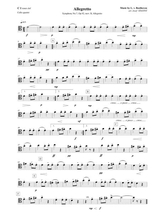 Allegretto Beethoven Symphony No 7 Mov Ii Excerpt